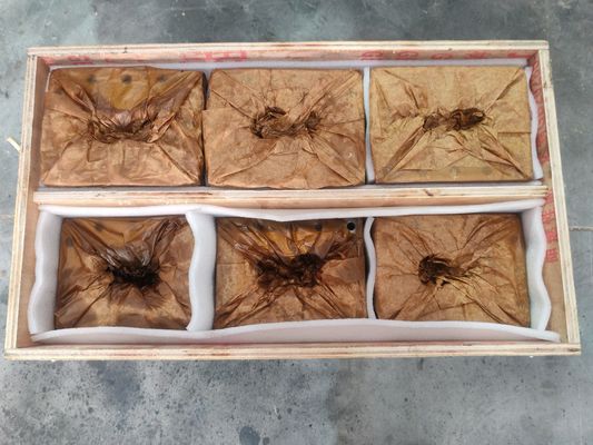 Extruder Screw Barrel untuk Mesin Daur Ulang Plastik